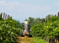 A sprayer machine, trailed by tractor, sprinkles pesticides among the rows of vineyards . Back view