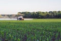 The sprayer travels around the corn between corn in the evening and introduces microfertilizer for spring top dressing Royalty Free Stock Photo