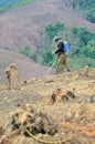 Spraying chemicals in the shifting cultivation Royalty Free Stock Photo