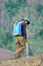 Spraying chemicals in the shifting cultivation Royalty Free Stock Photo