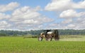 Spraying Corn Crop