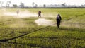 Spraying herbicides in the countryside.