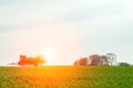 Spraying the herbicides