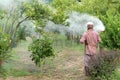 Spraying pesticide