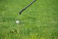 Spraying pesticide on dandelion bloom, lawn weed control Royalty Free Stock Photo