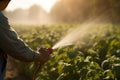 Spraying pesticide onto potato garden. Generate AI