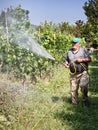 Spraying pesticide in vineyard Royalty Free Stock Photo