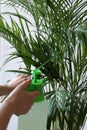 Spraying the plant with a spray gun Royalty Free Stock Photo