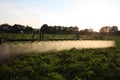 Spraying potatofield