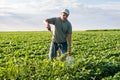 Spraying soybean field Royalty Free Stock Photo