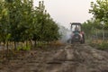 Spraying trees in fruit orchard against deceases