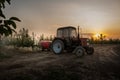 Spraying trees in fruit orchard