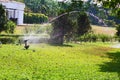 Spraying water in a green garden