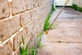 Spraying weed killer herbicide to control unwanted plants and grass on a backyard. Building exterior Royalty Free Stock Photo