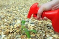 Spraying weed killer on to a weed