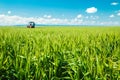 Spraying wheat crops field, agricultural landscape. Royalty Free Stock Photo