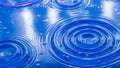 Spread across a vibrant blue water surface creating a pattern of circular Royalty Free Stock Photo