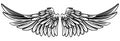 Spread Pair of Angel or Eagle Wings Royalty Free Stock Photo