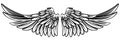 Spread Pair of Angel or Eagle Wings