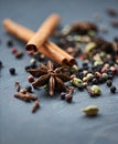 Spread of spices. an assortment of colorful spices.