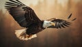 Spread wings, majestic bald eagle in flight generated by AI Royalty Free Stock Photo