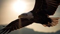 Spread wings, majestic bald eagle in mid air, soaring free generated by AI Royalty Free Stock Photo