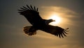 Spread wings in mid air, majestic bird of prey soars generated by AI