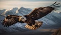 Spread wings, talons and beak, majestic bald eagle in flight generated by AI Royalty Free Stock Photo