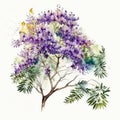 Watercolor Jacaranda Floral Clipart. Beautiful Watercolor set . Isolated on White Background.