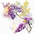 Watercolor Jacaranda Floral Clipart. Beautiful Watercolor set . Isolated on White Background.