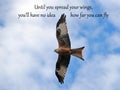 Spread your wings and Fly - Inspirational Quote Napoleon