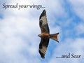 Spread your wings and Soar - Inspirational Quote