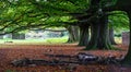 Dunham Massey Park UK