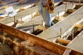 Spreading concrete for sidewalk repair Royalty Free Stock Photo