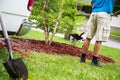 Spreading lava stone in garden Royalty Free Stock Photo