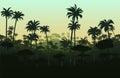 Spreading palm trees silhouette. Tropical forest. Dense jungle with big trees. Thickets of plants. Cartoon fun style Royalty Free Stock Photo