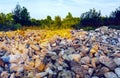Spreading of stone boulders among grass and trees outdoors Royalty Free Stock Photo