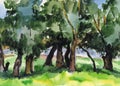Spreading willows on the river bank. Watercolor landscape