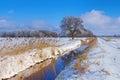 Spreeforest in cold winter