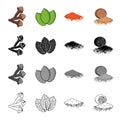 Sprig of allspice, mint grass, spicy paprika, nutmeg. Grass and spice set collection icons in cartoon black monochrome