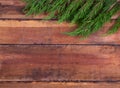 Sprig arborvitae on the boards