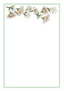 A sprig of blooming cherry on a white background. Postcard.