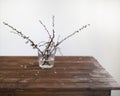 Sprig blossoming branch on wooden table