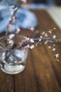 Sprig blossoming branch on wooden table