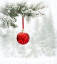 Sprig of christmas tree spruce Picea pungens with of hanging ball covered hoarfrost and in snow in of winter fir forest Royalty Free Stock Photo