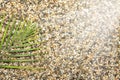 A sprig of fern lies on coarse, sea sand Royalty Free Stock Photo