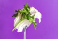 Sprig of fresh green parsley lettuce  on a fork on a purple background, greens Royalty Free Stock Photo