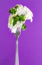 Sprig of fresh  lettuce  , green  parsley on a fork on a lilac background Royalty Free Stock Photo