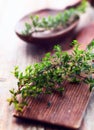 Sprig of fresh thyme Royalty Free Stock Photo