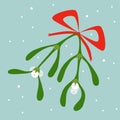 A sprig of green mistletoe with berries and a red bow Royalty Free Stock Photo